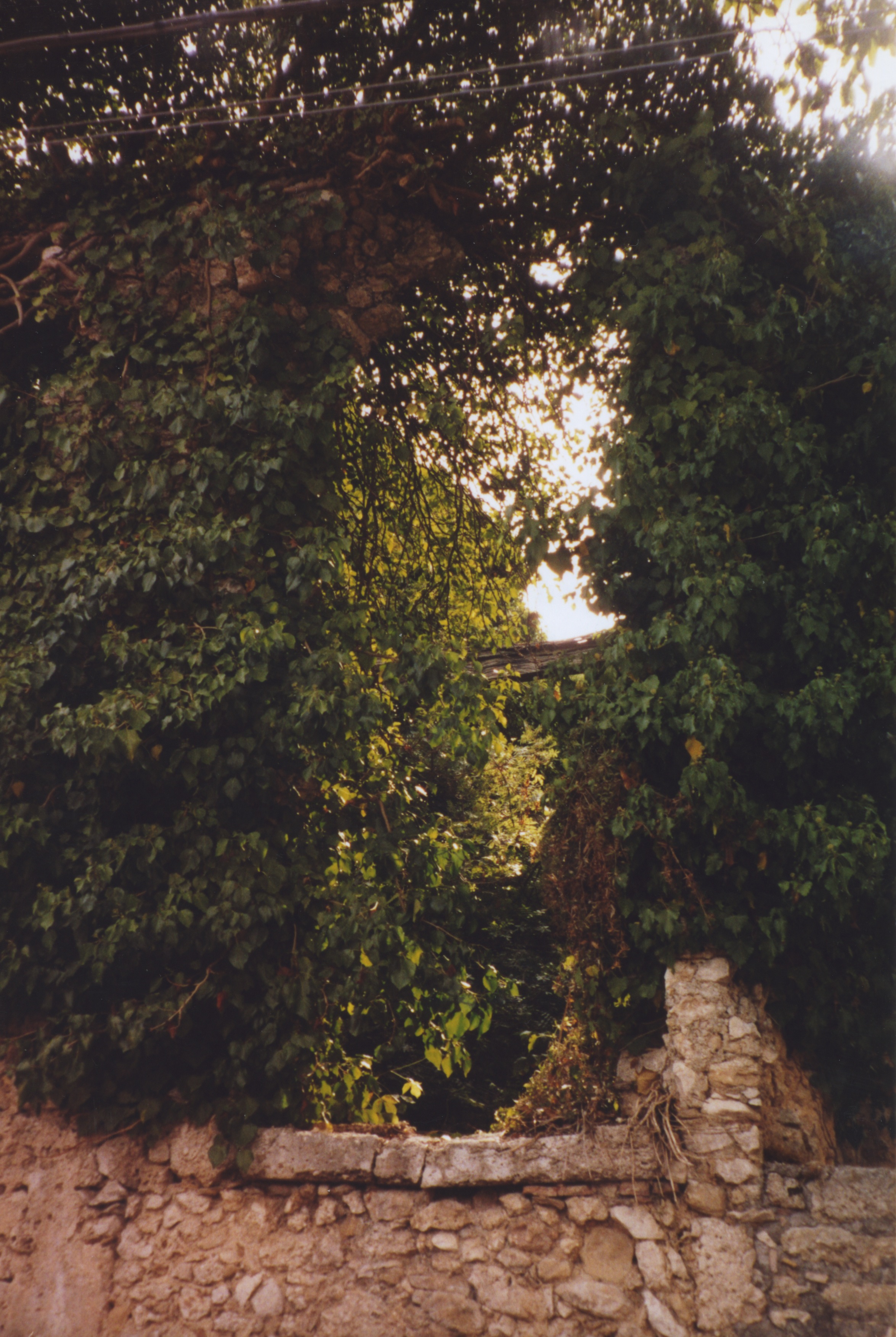 Ruins behind Cicero's House