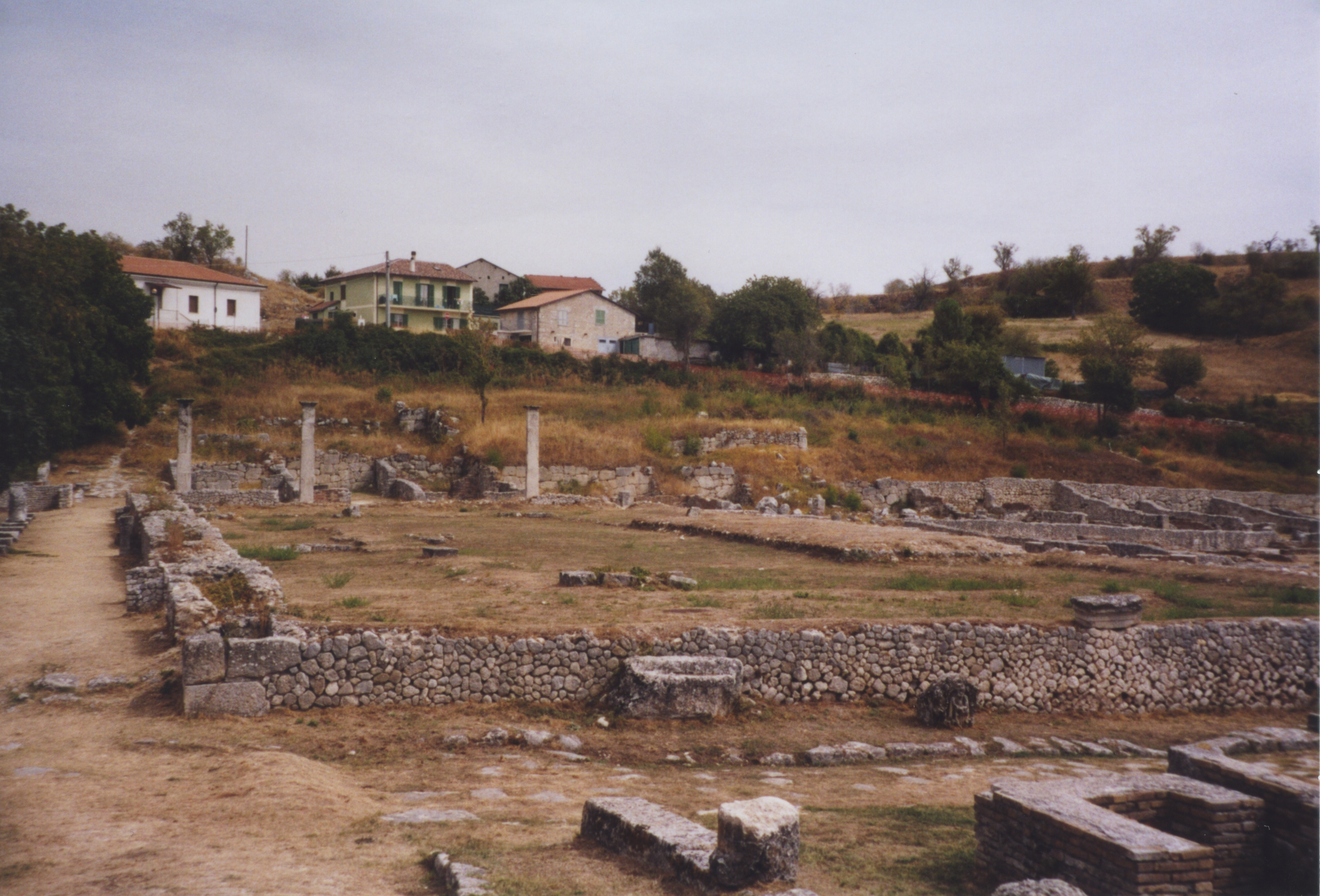 Basilica (from West)