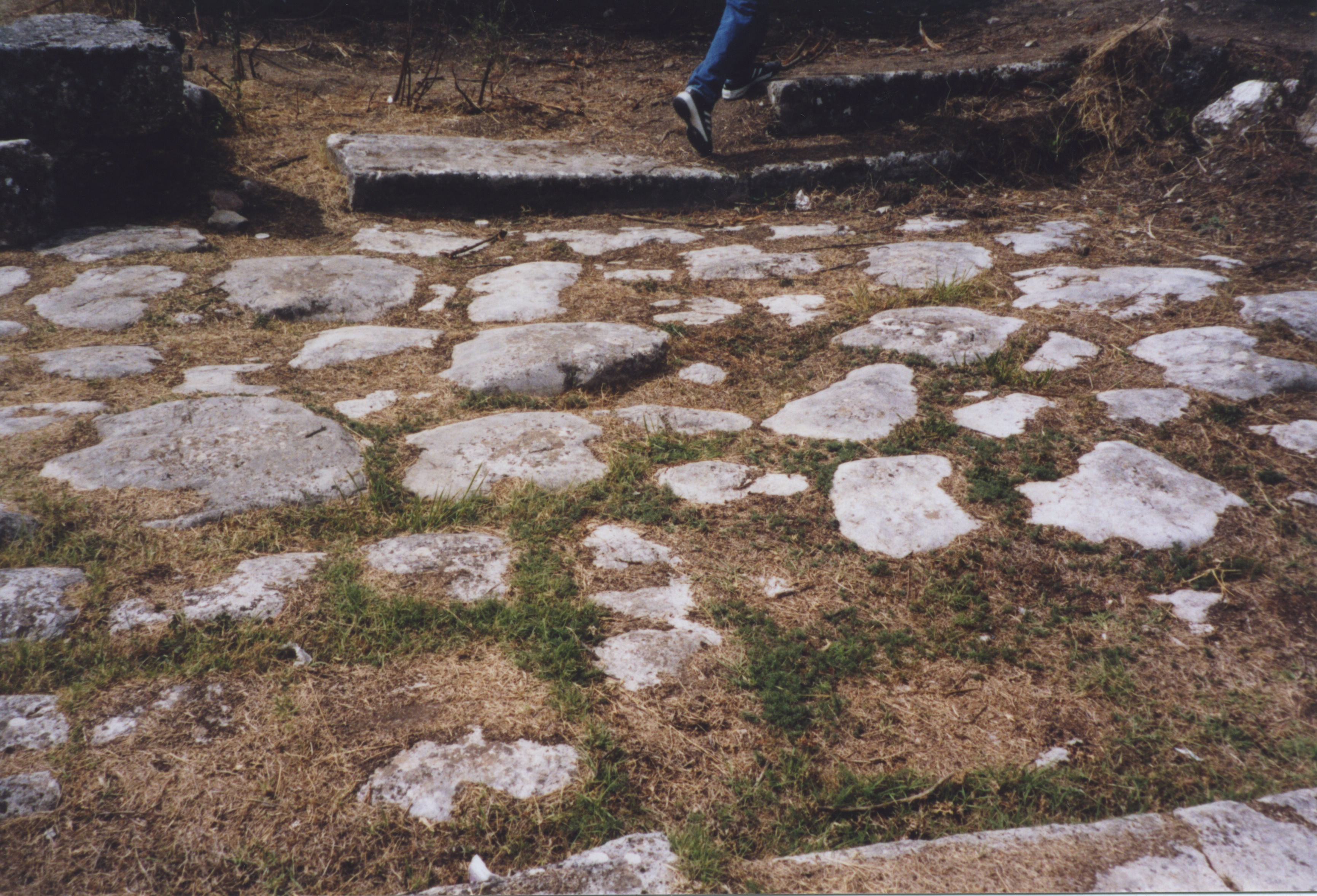 Decumanus Pavement