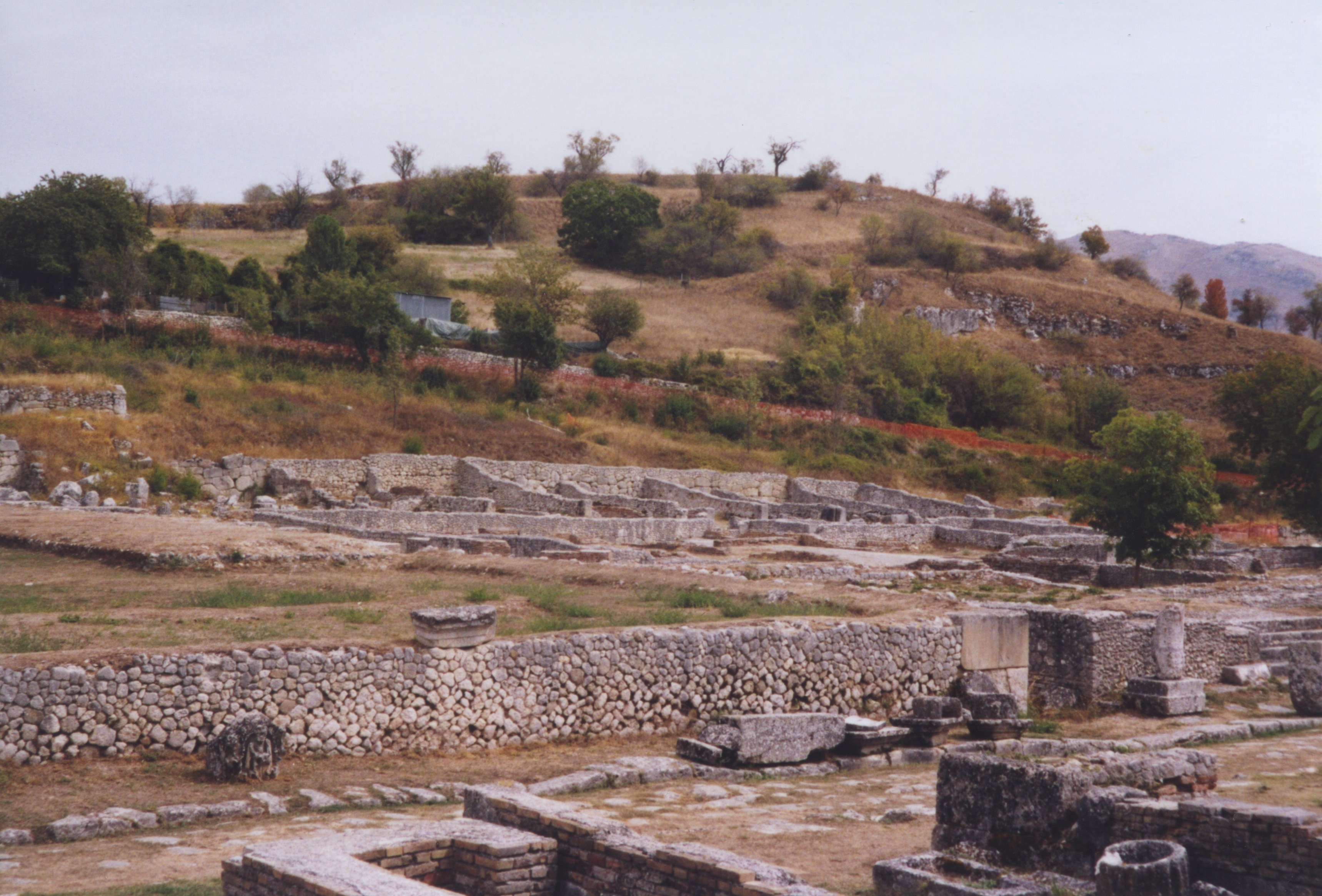 Basilica (Foreground) and Shops (Rear)