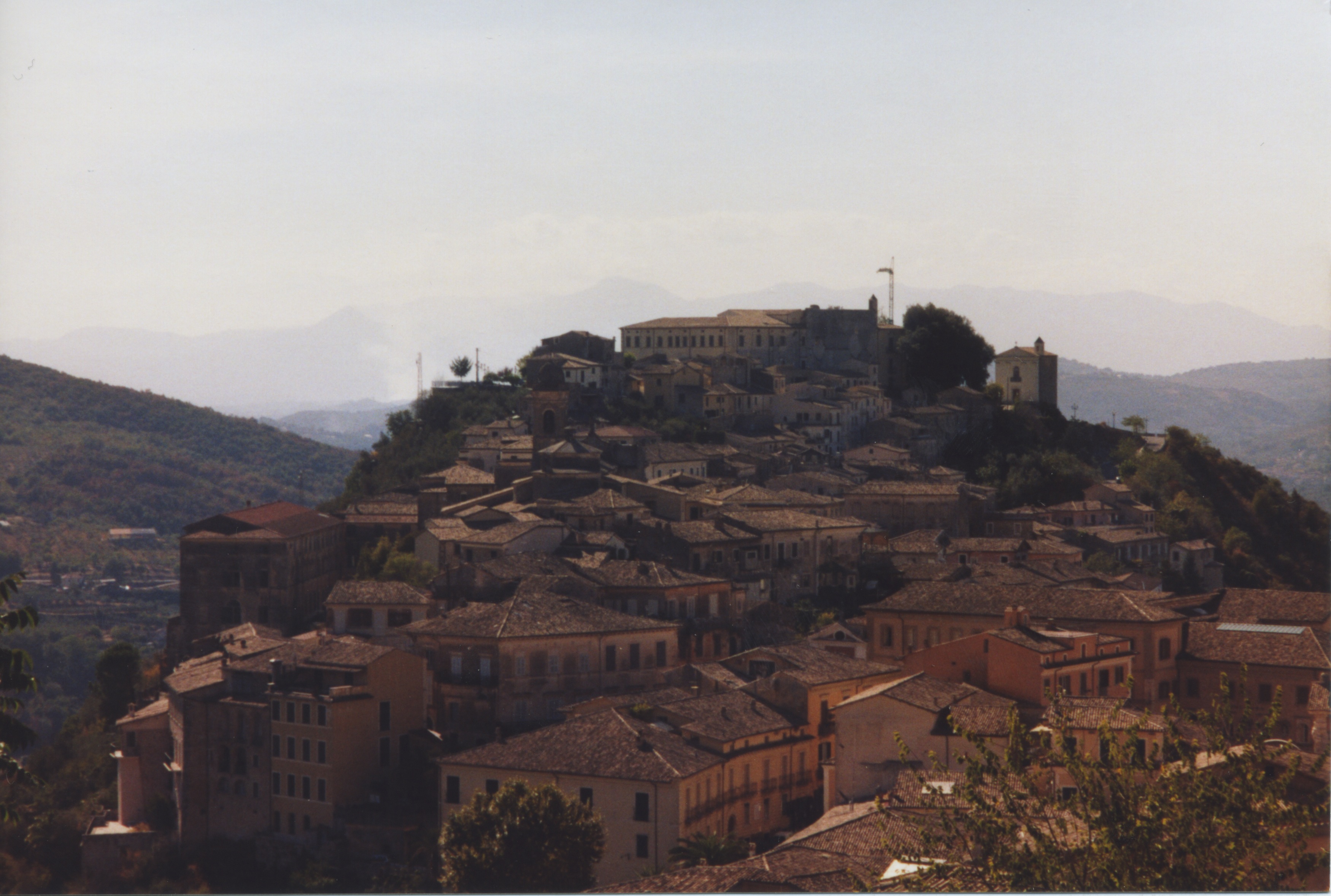Arpino