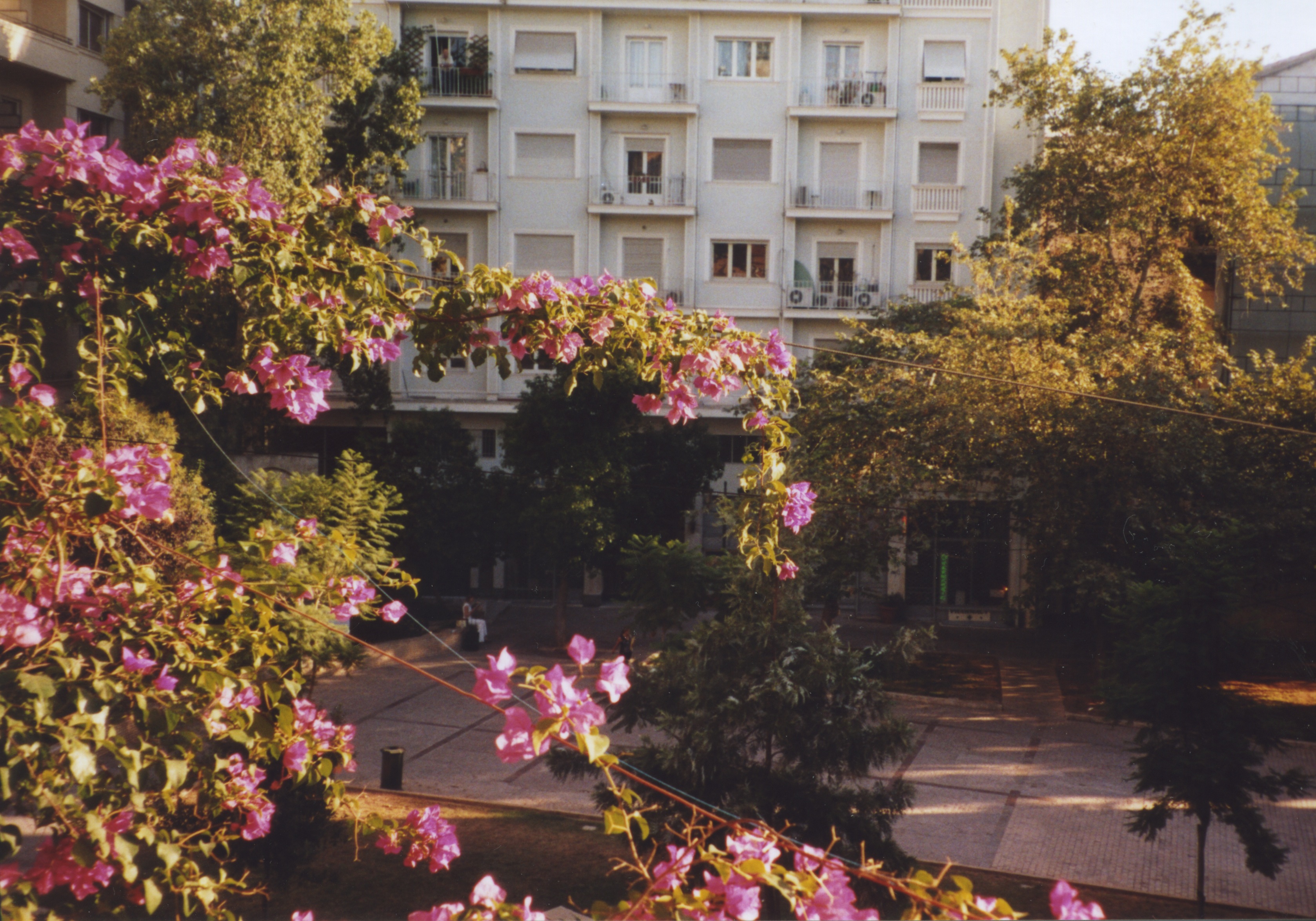 Plateia by Metropolitan Cathedral