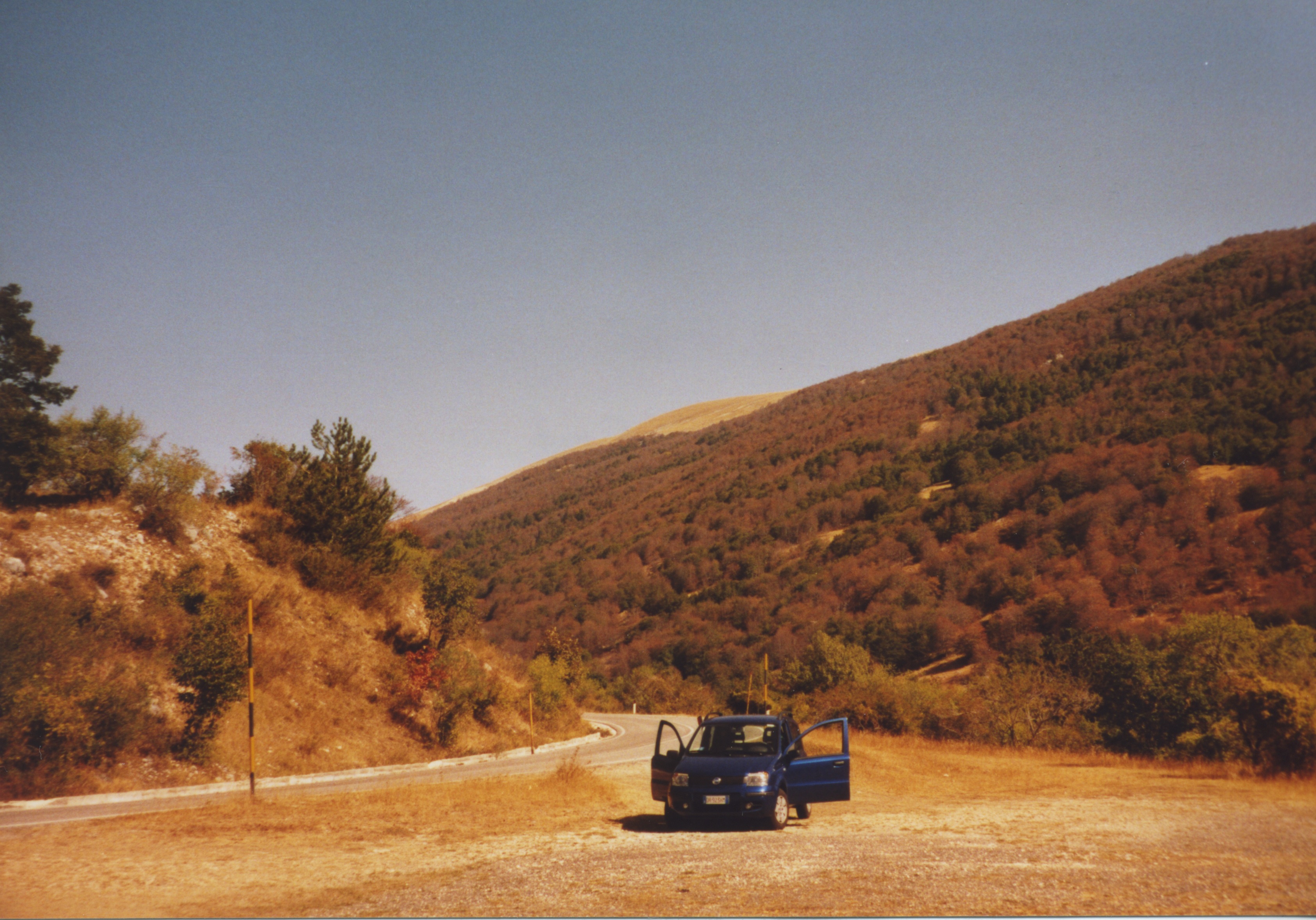 Panda at Lookout Spot